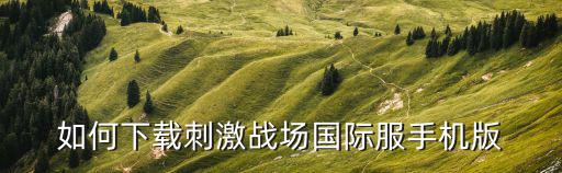 如何下载刺激战场国际服手机版