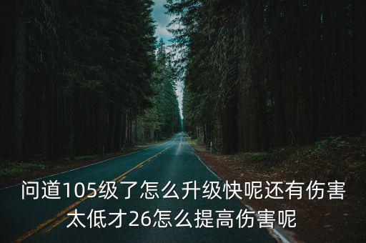 问道105级了怎么升级快呢还有伤害太低才26怎么提高伤害呢