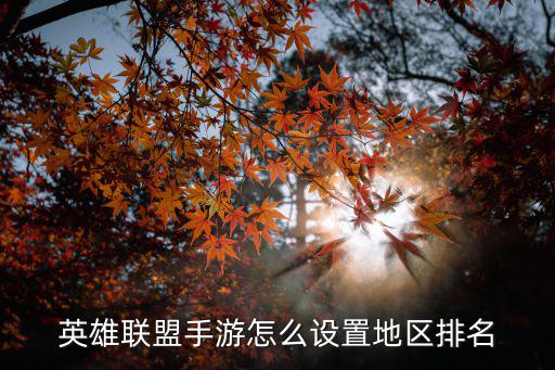 英雄联盟手游怎么设置地区排名