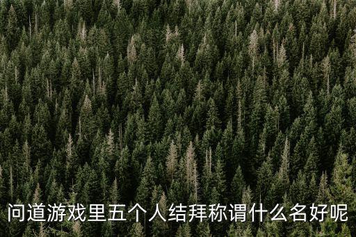 问道游戏里五个人结拜称谓什么名好呢