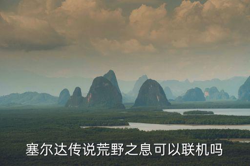 塞尔达传说荒野之息可以联机吗