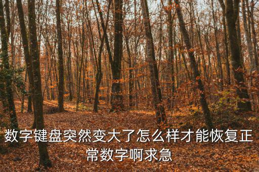 数字键盘突然变大了怎么样才能恢复正常数字啊求急