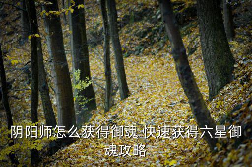 阴阳师怎么获得御魂 快速获得六星御魂攻略