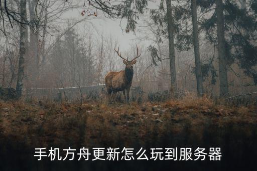 手机方舟更新怎么玩到服务器