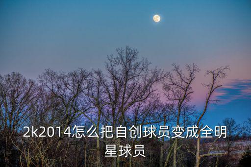 2k2014怎么把自创球员变成全明星球员