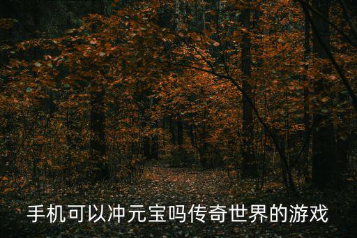 手机可以冲元宝吗传奇世界的游戏