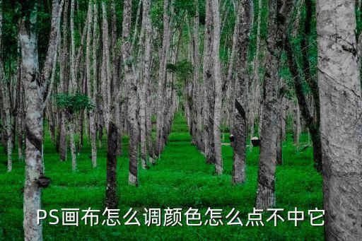 PS画布怎么调颜色怎么点不中它