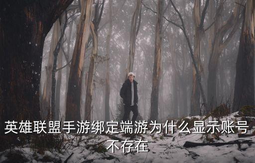 英雄联盟手游绑定端游为什么显示账号不存在