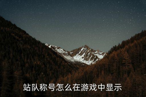 站队称号怎么在游戏中显示