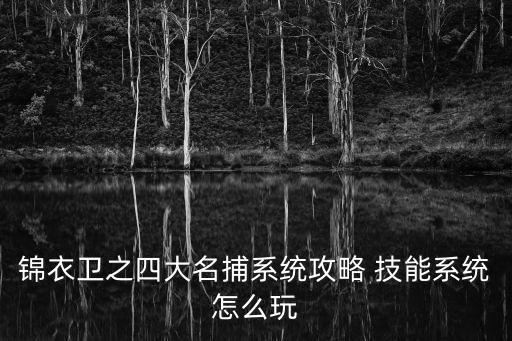 剑侠情缘手游锦衣卫怎么玩，锦衣卫这游戏打击感如何好玩吗