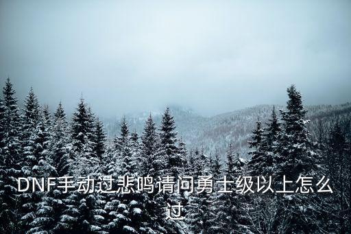 DNF手动过悲鸣请问勇士级以上怎么过