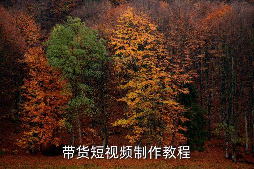 手游直播 带货视频怎么拍，手机想要拍出网红视频应该怎么拍