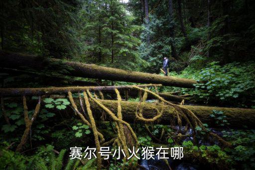 赛尔号小火猴在哪