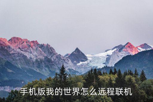 手机版我的世界怎么远程联机