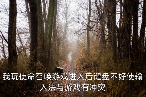 我玩使命召唤游戏进入后键盘不好使输入法与游戏有冲突