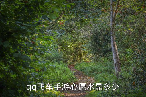 手游飞车万千星辰怎么得，QQ飞车手游愿望之星怎么得 愿望之星获取方法