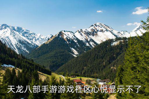 天龙八部手游游戏社区心悦显示不了