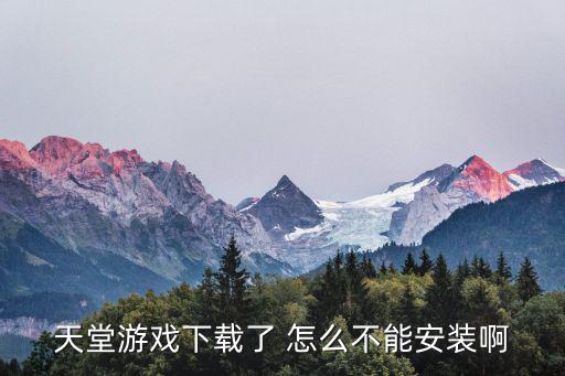 天堂游戏下载了 怎么不能安装啊