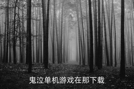鬼泣单机游戏在那下载