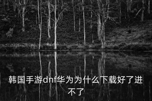 韩国手游dnf华为为什么下载好了进不了