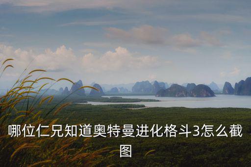 哪位仁兄知道奥特曼进化格斗3怎么截图