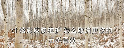 cf 炫彩皮肤维护 怎么取消更改的击杀音效