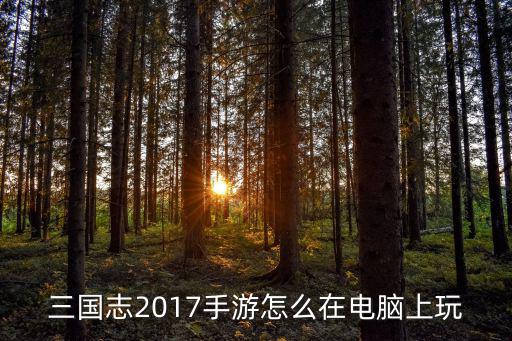 三国志手游怎么登录电脑版，三国志2017手游怎么在电脑上玩