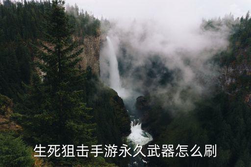 生死狙击手游永久武器怎么刷