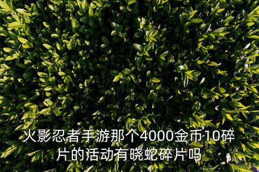 火影忍者手游那个4000金币10碎片的活动有晓蛇碎片吗
