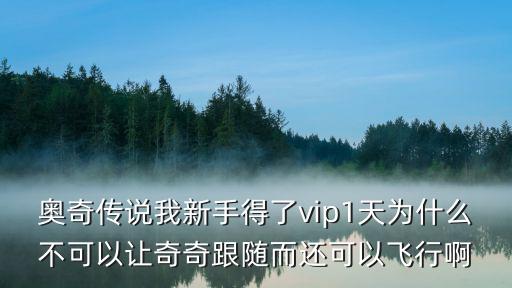 奥奇传说我新手得了vip1天为什么不可以让奇奇跟随而还可以飞行啊