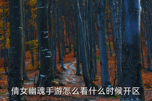 倩女幽魂手游大区怎么开的，倩女幽魂手游怎么看什么时候开区