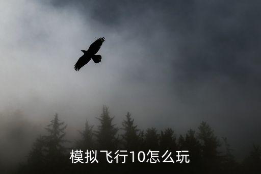 模拟飞行10怎么玩