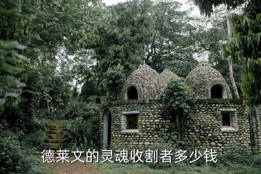 德莱文的灵魂收割者多少钱