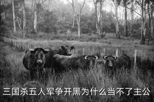 三国杀五人军争开黑为什么当不了主公
