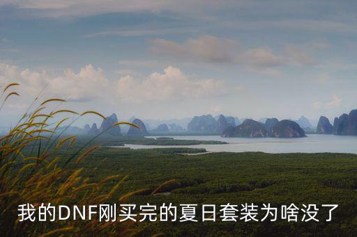 dnf手游买的夏日套怎么不显示，我的DNF刚买完的夏日套装为啥没了