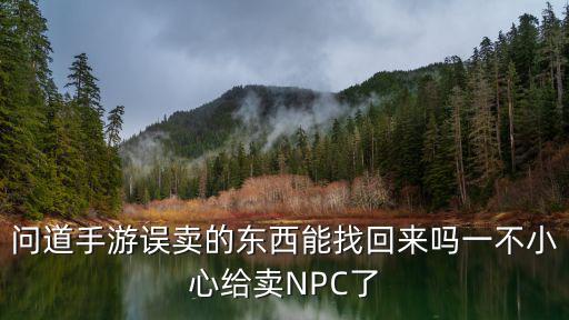 问道手游误卖的东西能找回来吗一不小心给卖NPC了