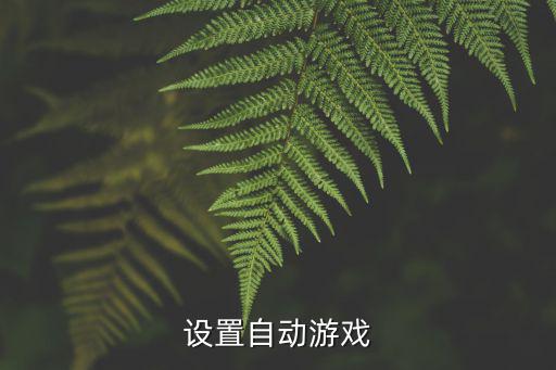 设置自动游戏