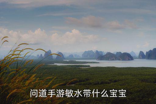 问道手游敏水带什么宝宝