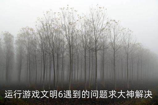 运行游戏文明6遇到的问题求大神解决