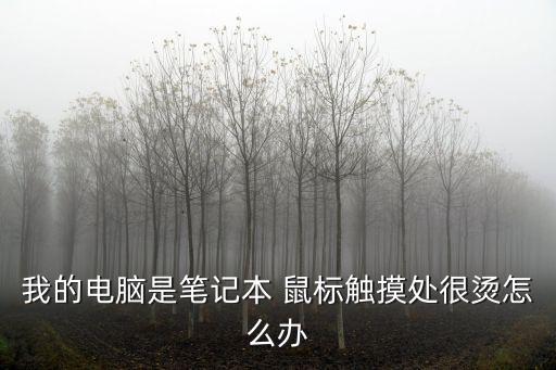 我的电脑是笔记本 鼠标触摸处很烫怎么办