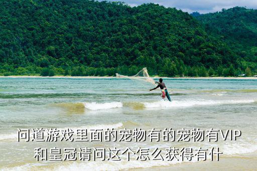 问道游戏里面的宠物有的宠物有VIP和皇冠请问这个怎么获得有什