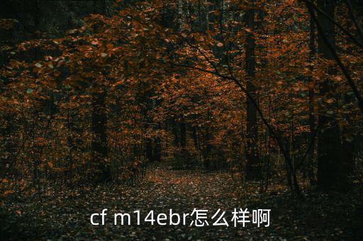 cf m14ebr怎么样啊