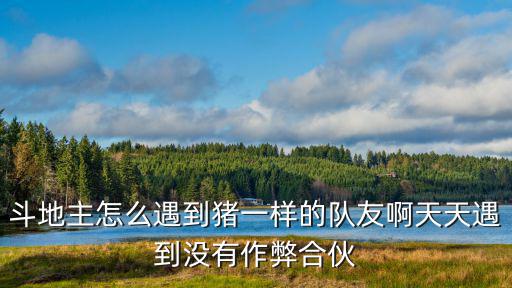 斗地主怎么遇到猪一样的队友啊天天遇到没有作弊合伙