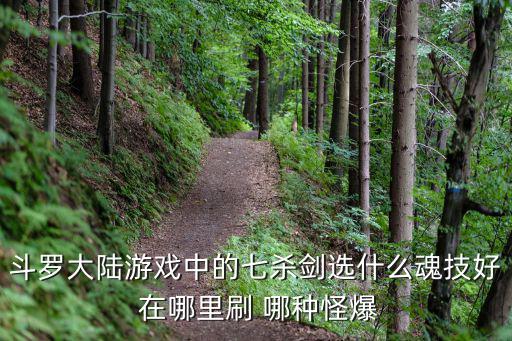 斗罗大陆游戏中的七杀剑选什么魂技好 在哪里刷 哪种怪爆