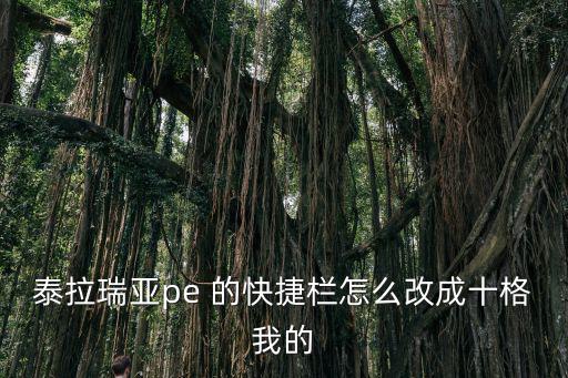 泰拉瑞亚pe 的快捷栏怎么改成十格我的