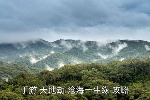 手游 天地劫 沧海一生缘 攻略
