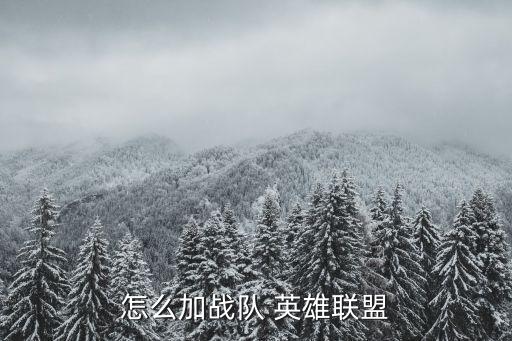 怎么加战队 英雄联盟