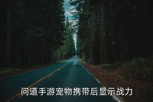 问道手游宠物携带后显示战力