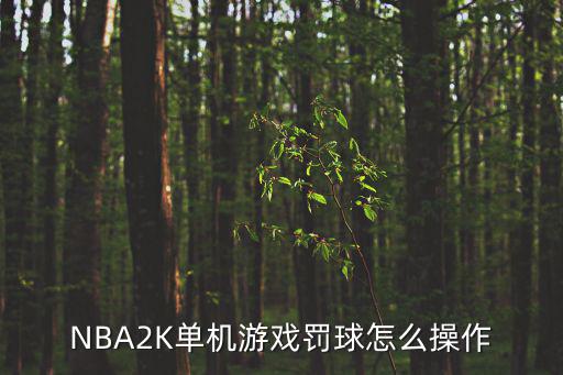 NBA2K单机游戏罚球怎么操作