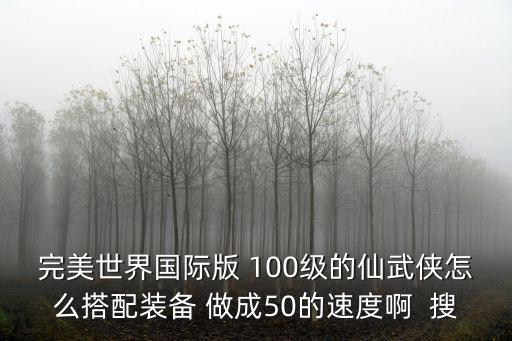 完美世界国际版 100级的仙武侠怎么搭配装备 做成50的速度啊 搜